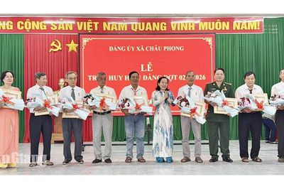 Tặng Huy hiệu Đảng cho 20 đảng viên xã Châu Phong