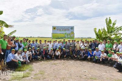 Nông dân Campuchia học kinh nghiệm canh tác lúa giảm phát thải tại An Giang