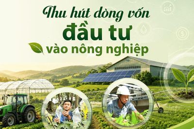 [eMagazine] - Thu hút dòng vốn đầu tư vào nông nghiệp