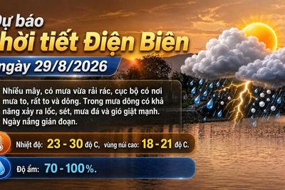 Bản tin Dự báo thời tiết ngày 29/8/2026