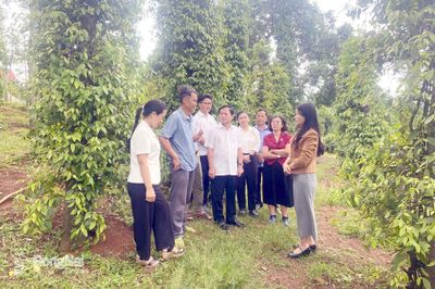 Gỡ “điểm nghẽn” để phát triển nông nghiệp hữu cơ