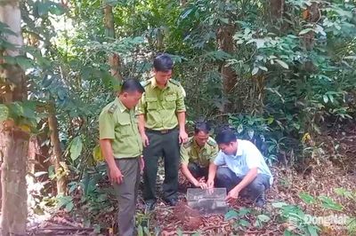 Thả 84 cá thể động vật hoang dã về môi trường tự nhiên
