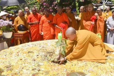 Cung nghinh cây Bồ đề từ Sri Lanka về trồng tại Công viên Chùa Vĩnh Tràng