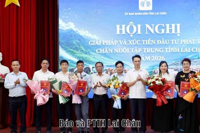 Giải pháp và xúc tiến đầu tư phát triển chăn nuôi tập trung tỉnh Lai Châu năm 2026
