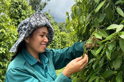 Giàu lên nhờ chuyển từ 'làm nhiều' sang làm đúng kỹ thuật