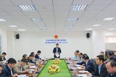 Lâm Đồng tăng cường giữ rừng, xử lý các 'điểm nóng'