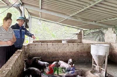 Khẳng định vai trò trụ cột của doanh nghiệp, HTX ở Chiềng La