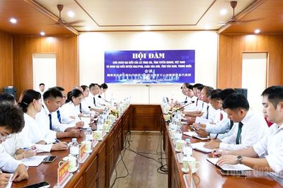 Hợp tác phát triển cây chè giữa Tùng Vài và huyện Malypho