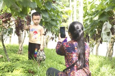 Làng quê xanh thúc đẩy nông nghiệp trải nghiệm