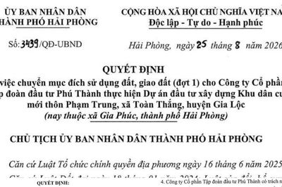 Hải Phòng: Giao hơn 62.000m2 đất cho Công ty Cổ phần tập đoàn đầu tư Phú Thành để thực hiện dự án