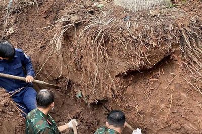 Tìm thấy 126 hài cốt liệt sĩ dưới vườn dừa, nghĩa trang cũ