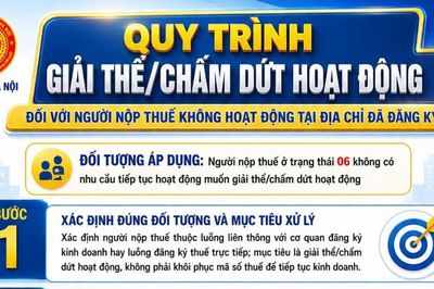 Khi nào doanh nghiệp bị gắn mã 06 và 4 bước giải thể đúng quy định
