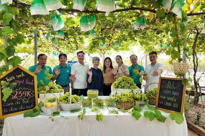Nông nghiệp ven đô: Không chỉ bán nông sản