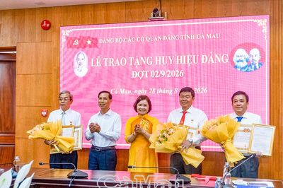 Đảng uỷ các cơ quan Đảng tỉnh trao Huy hiệu Đảng đợt 2/9