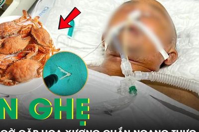 Ăn ghẹ, cụ ông 81 tuổi bất ngờ gặp họa, xương chắn ngang thực quản