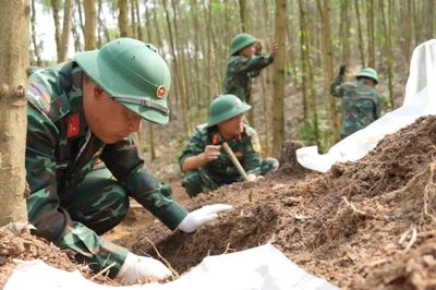 'Tọa độ Câu Nhi' và câu chuyện hơn nửa thế kỷ tìm tên cho người lính