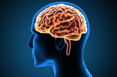 Não không được 'lập trình' để đọc sách?