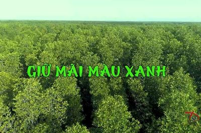 Giữ mãi màu xanh