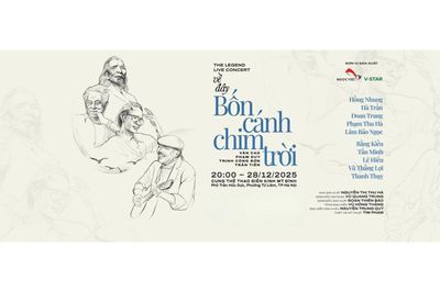 Từ 3,6 tỉ đồng tiền vé đến 24 tháng tù: 'Lỗ hổng' nào trong tổ chức biểu diễn?