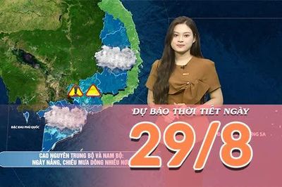 [Video] Dự báo thời tiết ngày 29/8/2026: Mưa to về chiều tối tại Bắc Bộ, Trung Bộ tiếp tục nắng nóng, có nơi gay gắt