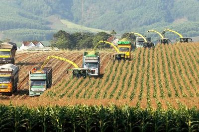 Tăng trưởng trong giới hạn sinh thái để phát triển bền vững