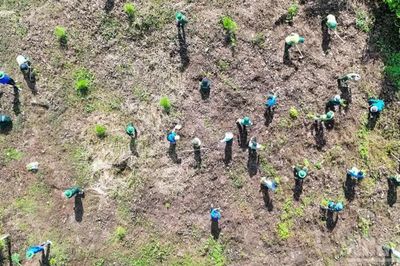 Lâm Đồng: Tăng cường công tác bảo vệ rừng và đất lâm nghiệp