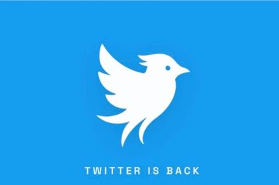 Twitter mới tái xuất sau khi bị Elon Musk từ bỏ