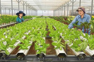 Gỡ 'nút thắt', thúc đẩy phát triển chuỗi giá trị nông sản bền vững