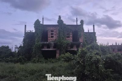 Đồng Nai cảnh báo tình trạng đầu cơ, làm giá nhà đất đón quy hoạch