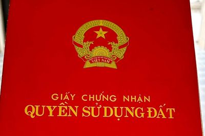 Kiến nghị làm rõ việc cấp sổ đỏ cho đất vi phạm trước 1/8/2024