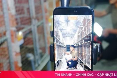 Vững tay nghề sẵn sàng chia sẻ lên mạng xã hội