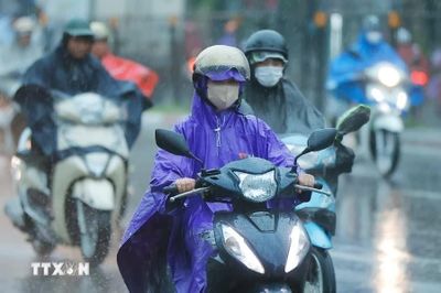 Thời tiết ngày 29/8: Bắc Bộ và từ Thanh Hóa đến Hà Tĩnh cục bộ có nơi mưa to