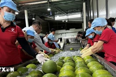 Gần 2 tỷ USD xuất khẩu tạo thêm động lực để Vĩnh Long tăng tốc