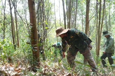 Đắk Lắk cảnh báo nguy cơ cháy rừng cực kỳ nguy hiểm do nắng nóng