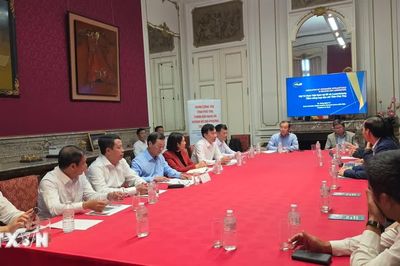 Phú Thọ tìm cơ hội hợp tác tại Bỉ về kinh tế, nông nghiệp và văn hóa, du lịch