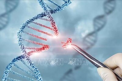 Chỉnh sửa gien có thể giúp loại bỏ cholesterol cao trong suốt cuộc đời