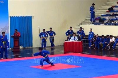 Khai mạc Giải Vovinam miền Bắc lần thứ III năm 2026