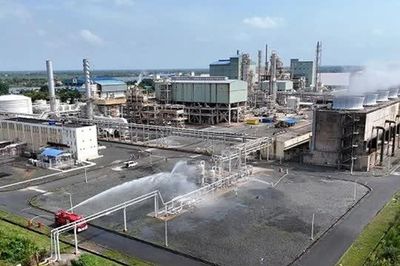 Cà Mau vực dậy tiềm năng phát triển nền công nghiệp xanh
