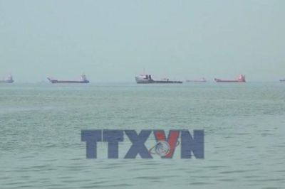 Các nước vùng Vịnh tìm lộ trình mới cho 'vàng đen'