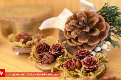 Khi những món quà từ rừng trở thành tác phẩm nghệ thuật