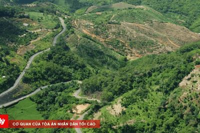 Lâm Đồng đầu tư 2.850 tỷ đồng mở tuyến Gia Nghĩa - Bảo Lâm