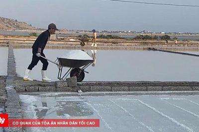Từ nước biển đến hạt muối Khánh Nhơn: Không chỉ là 'phơi nước lấy muối'