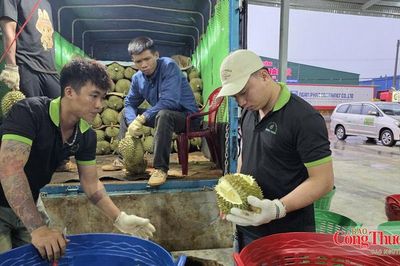 Đắk Lắk xây dựng 3 kịch bản tiêu thụ 500.000 tấn sầu riêng