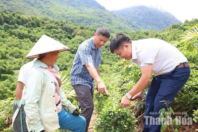 Đa dạng sinh kế, giảm nghèo ở Trung Hạ