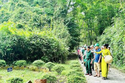 Sức hút mùa thu ở Lam Kinh