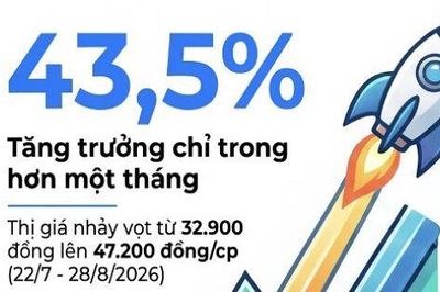 Cổ phiếu nhà tỷ phú Nguyễn Đăng Quang tăng một mạch gần 44% sau hơn một tháng