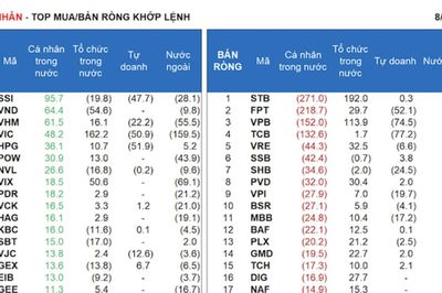 Cá nhân và Tự doanh xả hàng nghỉ lễ, tổ chức trong nước 'cân lệnh'