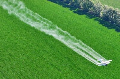 Hành động sớm để giảm 'cú sốc kép' từ khí hậu và an ninh lương thực