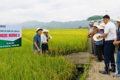 Thanh Nưa phát triển thế mạnh để nâng cao thu nhập