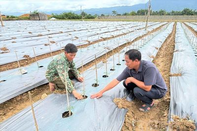 Khơi thông nguồn lực, tạo sức bật cho Điện Biên